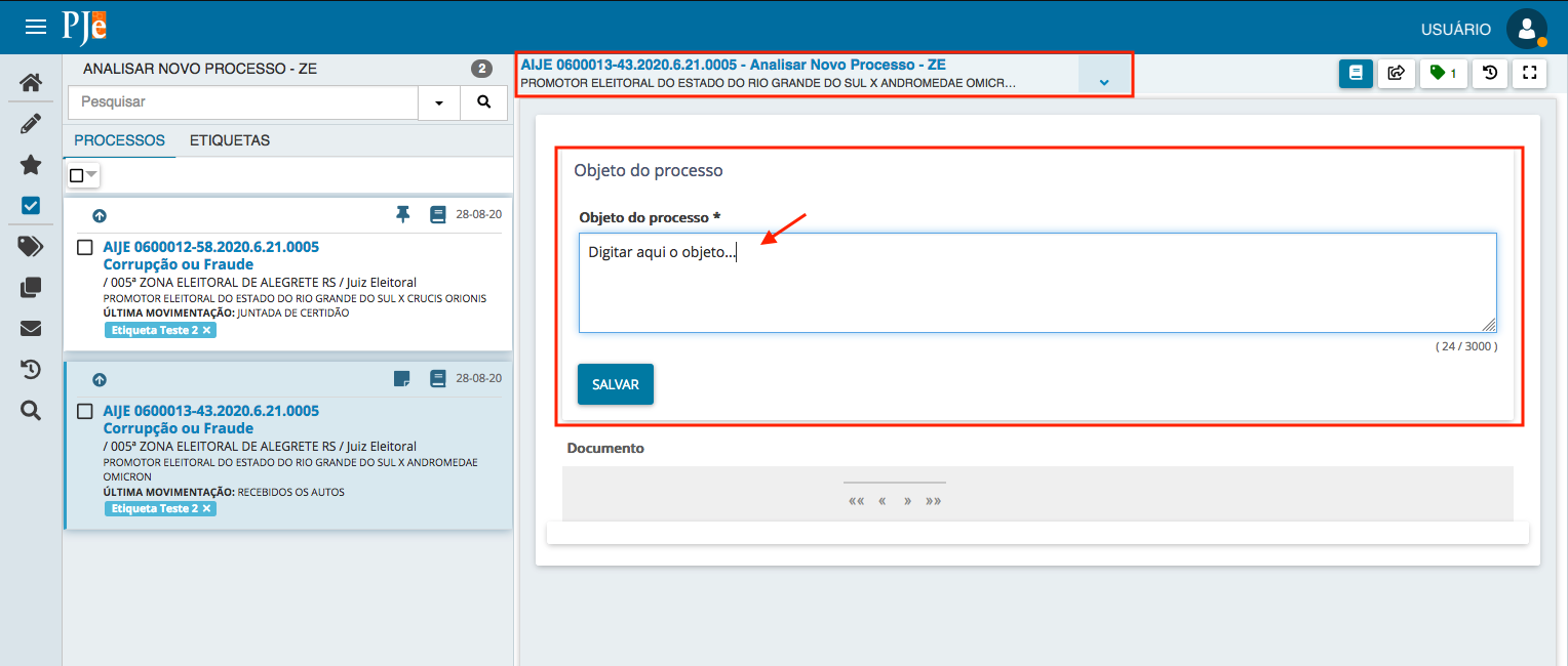 Imagem da tarefa "Analisar novo processo - ZE" com destaque no campo objeto do processo.