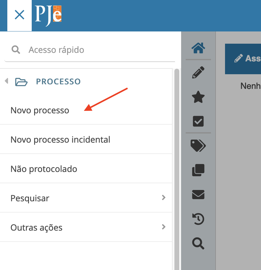 Imagem das opções após clicar em Processo: Novo processo, Novo processo incidental, Não protocolado, entre outros.