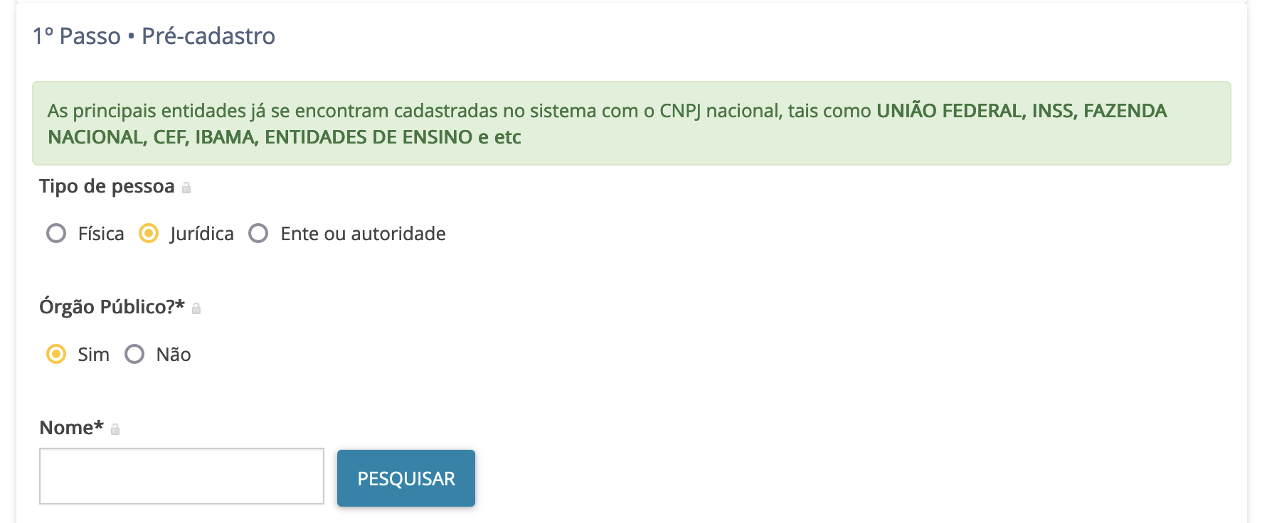 Imagem com as opções do tipo de pessoa após selecionar "Pessoa Jurídica" como: Órgão Público? (sim ou não) e pesquisa Nome.