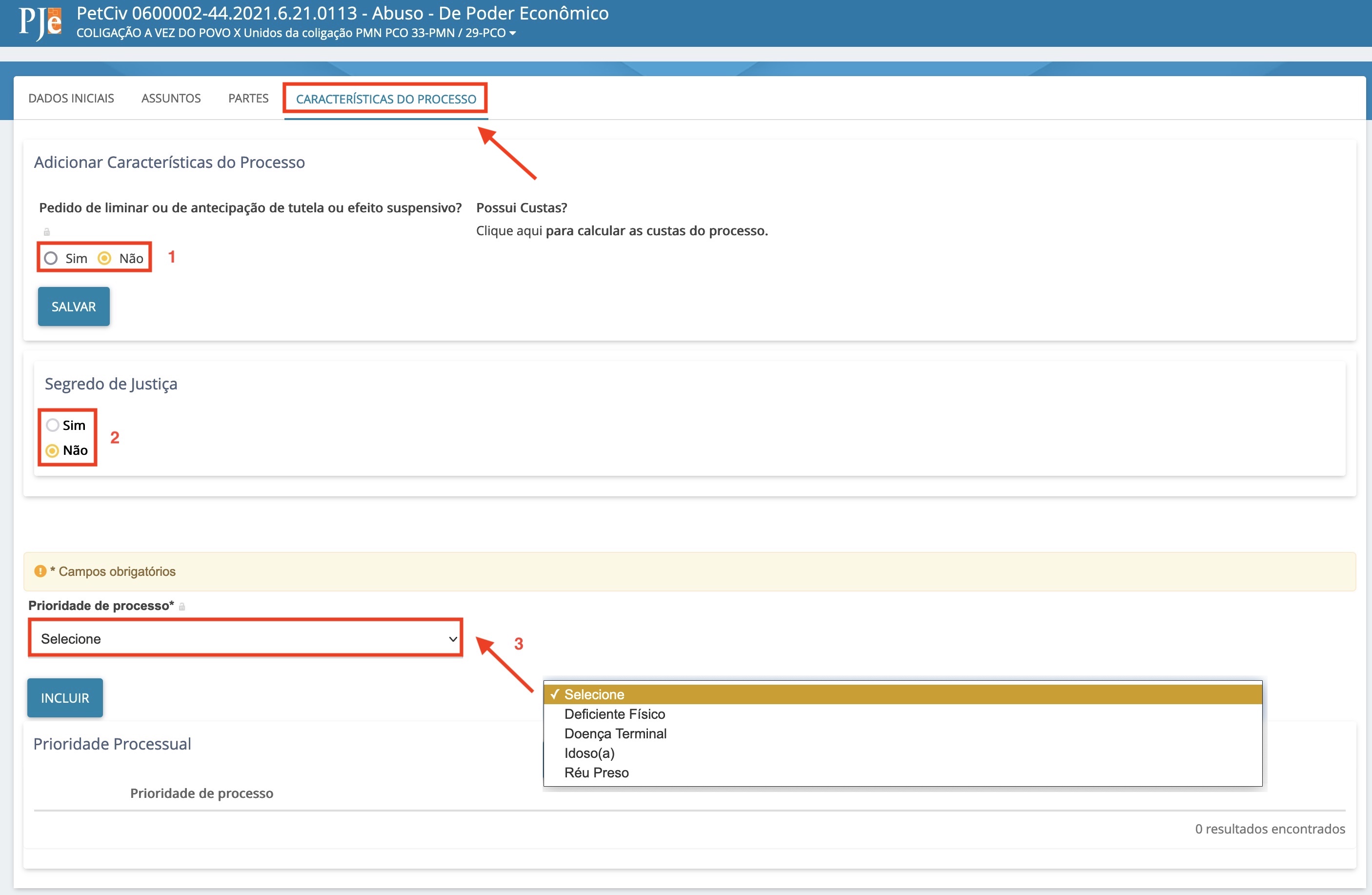Imagem da aba Características do Processo com as opções: pedido de liminar1, segredo de justiça2 e prioridade do processo3.