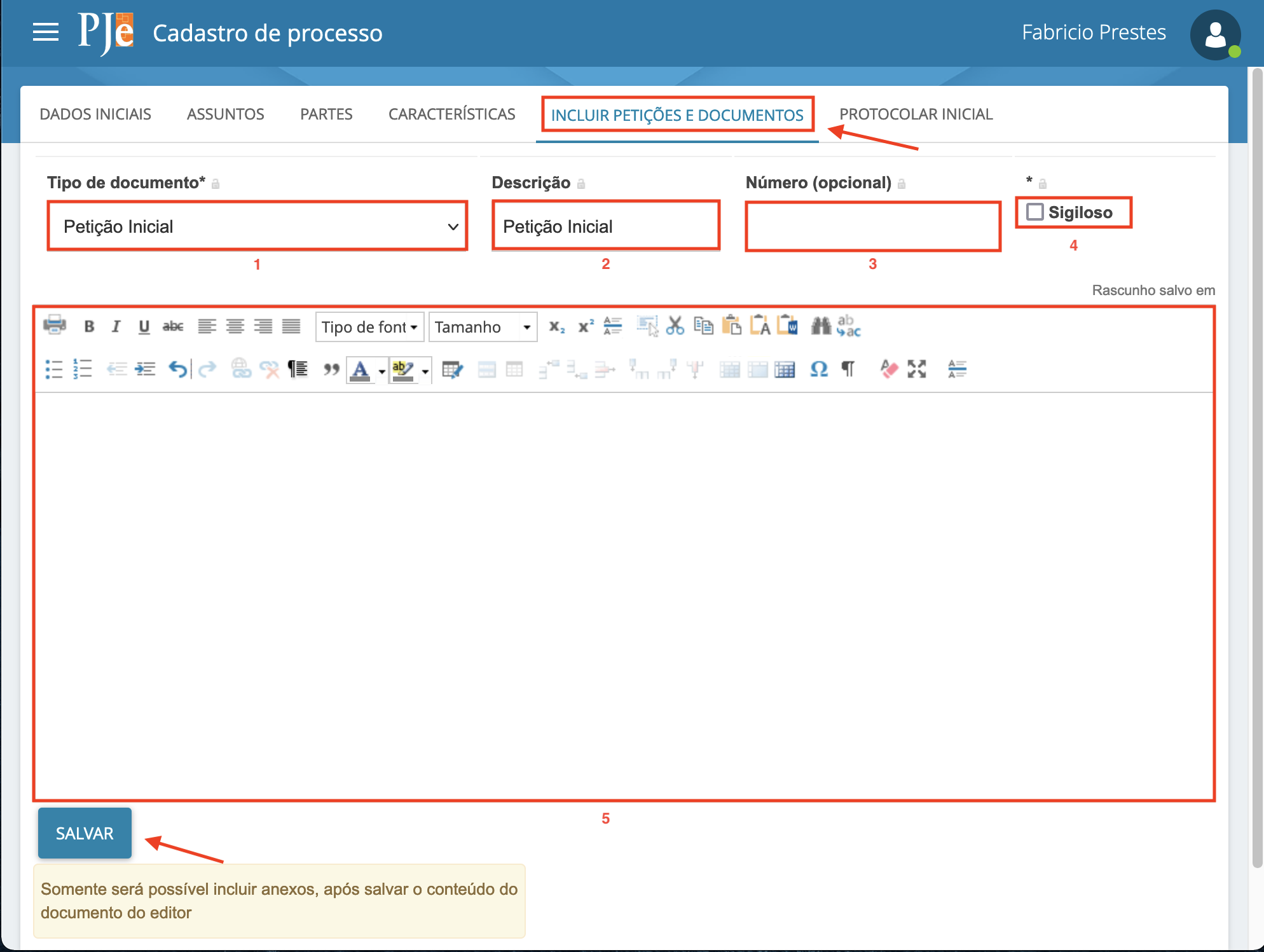 Imagem da aba Incluir petições e documentos, com os campos: tipo de documento, descrição, número, sigiloso e editor de texto.