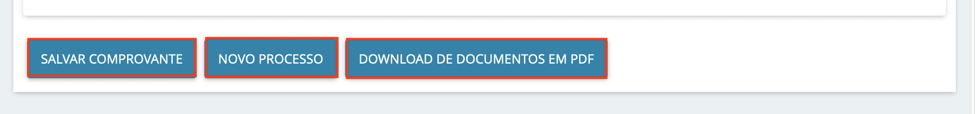 Imagem que demonstra as opções de "salvar comprovante", "novo processo" ou "download de documentos em pdf".